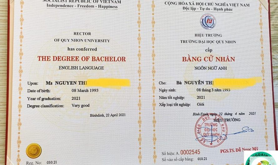 Bằng Cao Đẳng Ngôn Ngữ Anh Lương Bao Nhiêu? Mức Lương Chi Tiết Theo Từng Vị Trí