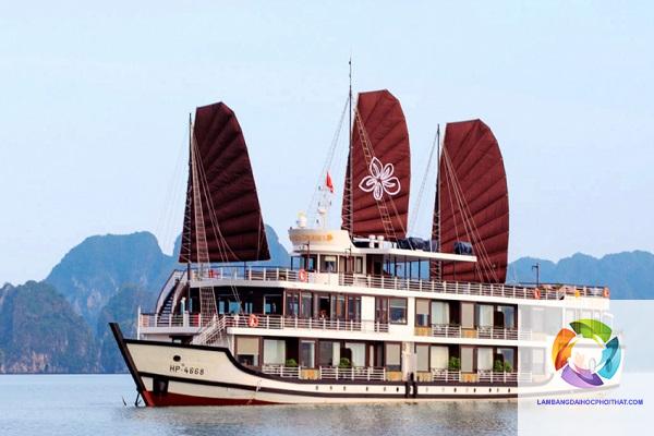 bằng cao đẳng quản trị khách sạn làm du thuyền được không - Hình 2
