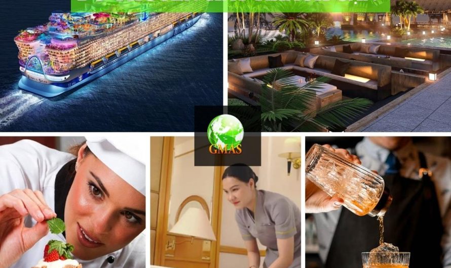Bằng cao đẳng quản trị khách sạn làm du thuyền được không? Cơ hội, thách thức và lộ trình thực tế