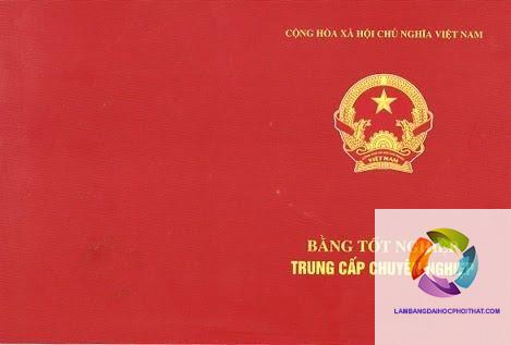 bằng cao đẳng thiết kế đồ họa - Hình 2