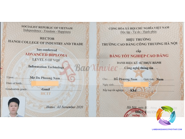 bằng cao đẳng thương mại điện tử có dễ xin việc không - Hình 4