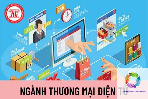 bằng cao đẳng thương mại điện tử làm quản trị sàn được không - Hình 5