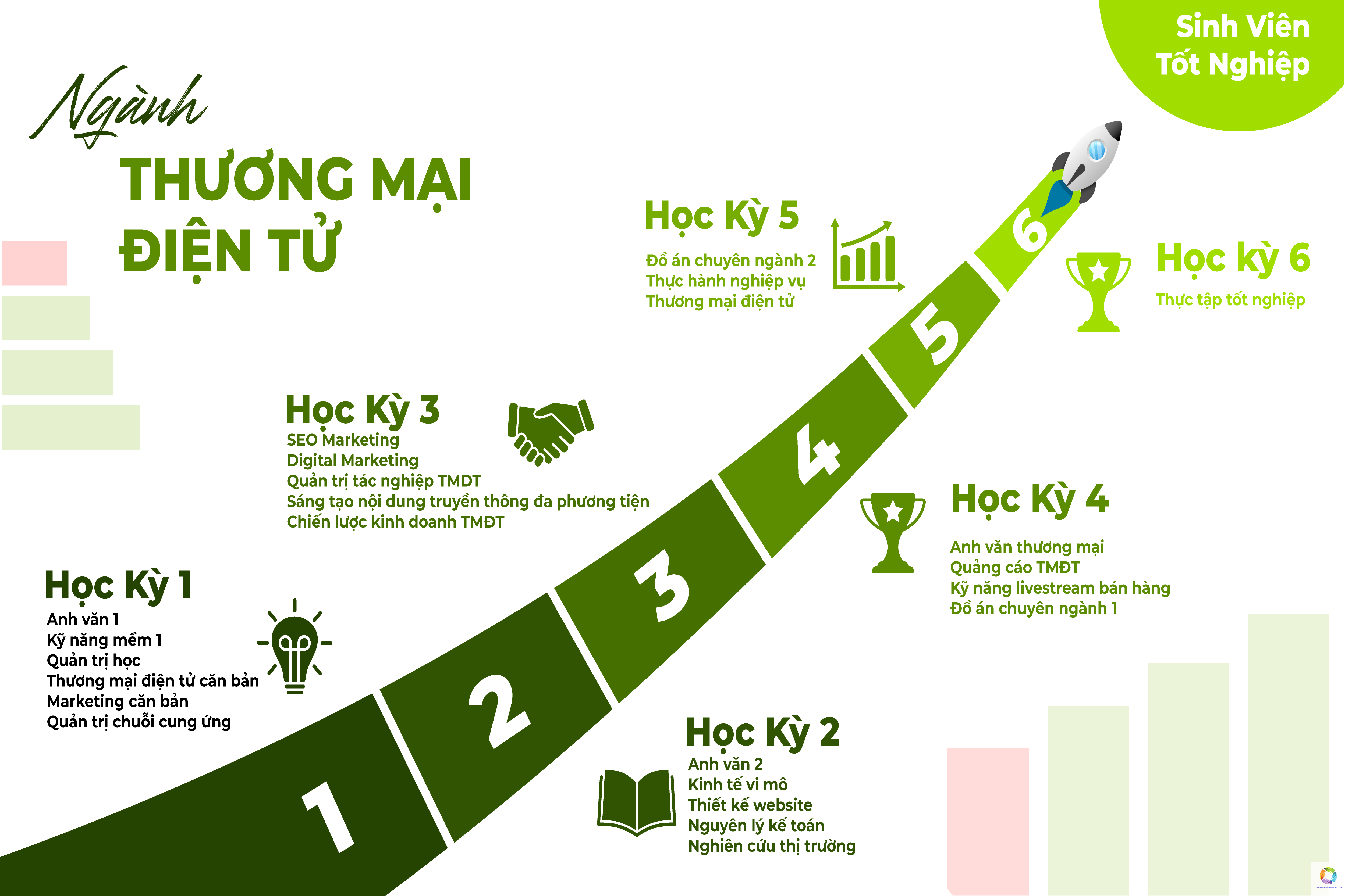 bằng cao đẳng thương mại điện tử làm seo được không - Hình 3