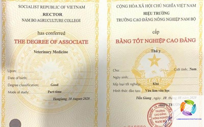 bằng cao đẳng từ xa là gì - Hình 4