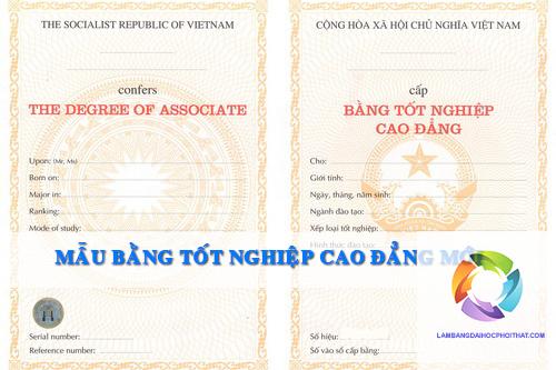 bằng cao đẳng xét nghiệm y học - Hình 3