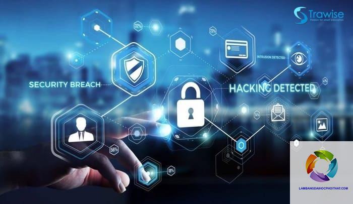bằng đại học an toàn thông tin ra làm gì - Hình 4