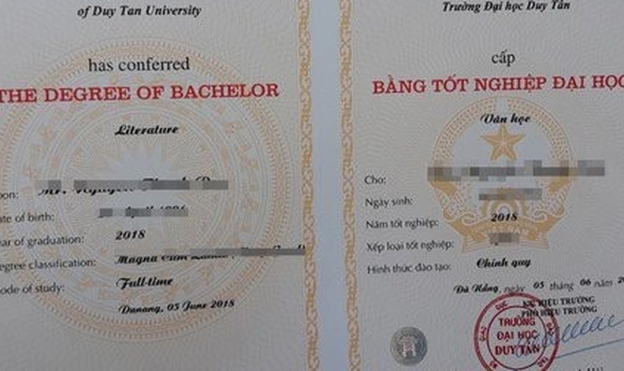 Bằng đại học báo chí là gì? Giải mã tấm vé vào ngành truyền thông hiện đại