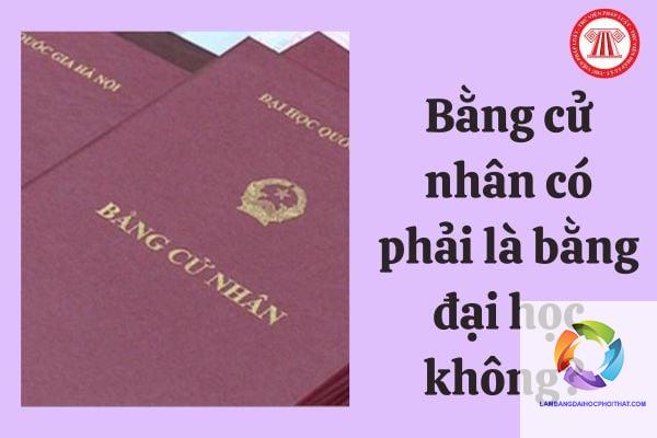 bằng đại học có bắt buộc không - Hình 3