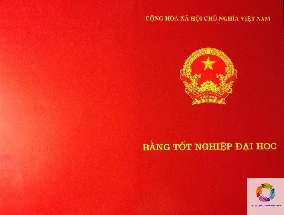 bằng đại học có bắt buộc không - Hình 4