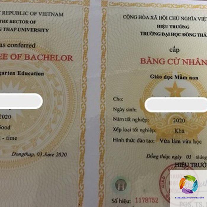 bằng đại học có bắt buộc không - Hình 5