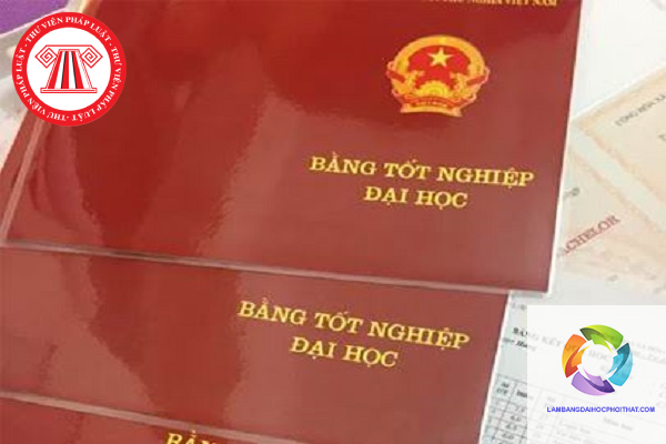bằng đại học có dễ xin việc không - Hình 3
