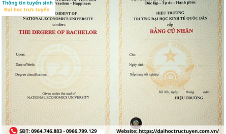 bằng đại học có dễ xin việc không