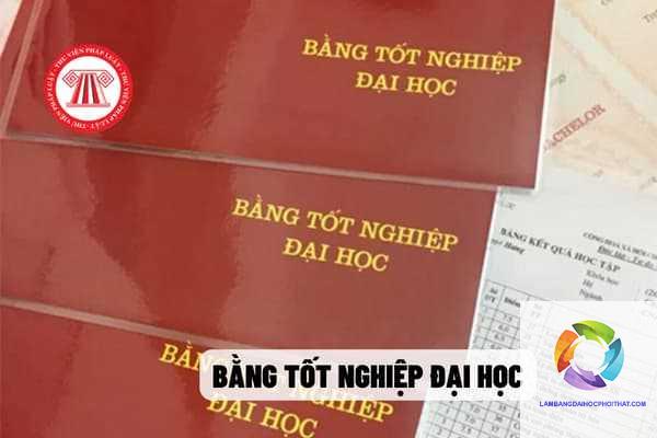 bằng đại học có giá trị pháp lý không - Hình 1