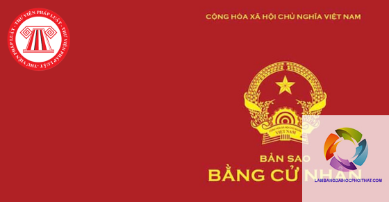 bằng đại học có giá trị pháp lý không - Hình 2