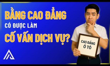bằng đại học công nghệ ô tô làm cố vấn dịch vụ được không
