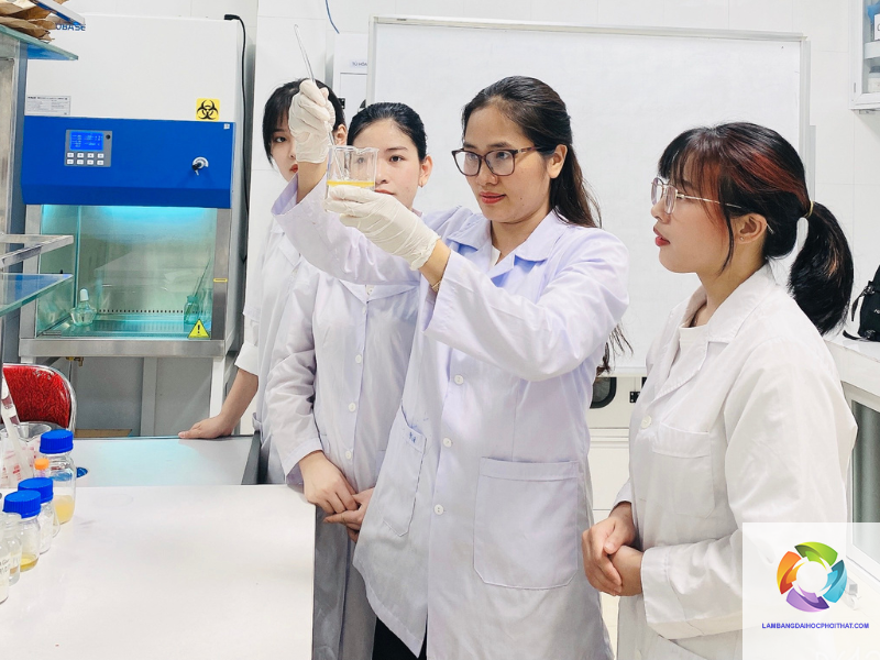 bằng đại học công nghệ sinh học có dễ xin việc không - Hình 2