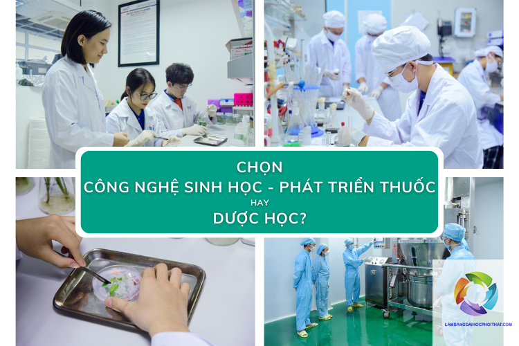 bằng đại học công nghệ sinh học làm dược được không - Hình 2