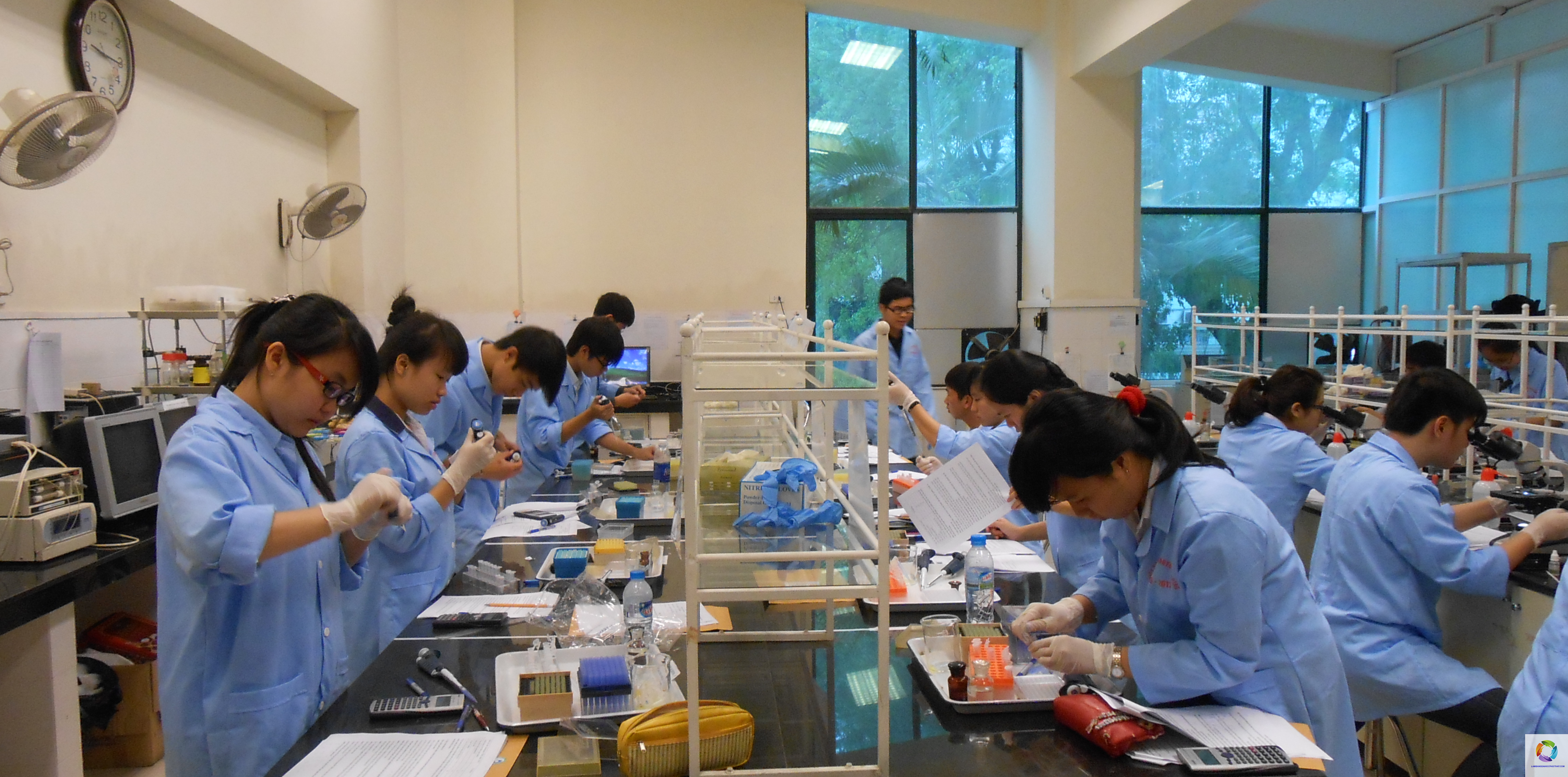bằng đại học công nghệ sinh học làm phòng thí nghiệm được không - Hình 2