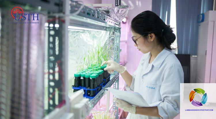 bằng đại học công nghệ sinh học ra làm gì - Hình 4