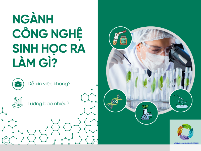 bằng đại học công nghệ sinh học ra làm gì - Hình 5