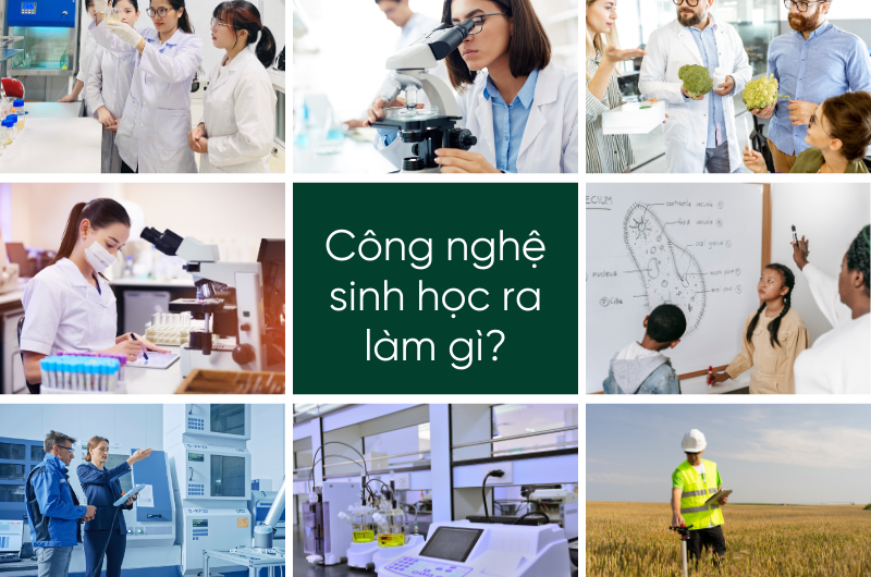 Bằng đại học công nghệ sinh học ra làm gì? Cơ hội việc làm và mức lương hấp dẫn năm 2025