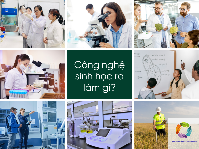 bằng đại học công nghệ sinh học ra làm gì - Hình 1