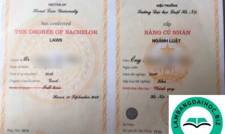 bằng đại học công tác xã hội có giá trị gì