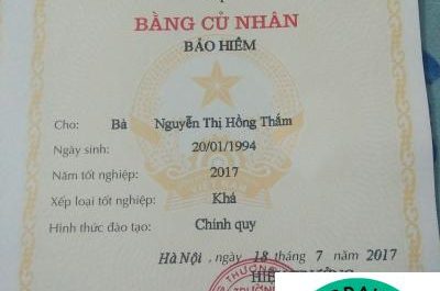 bằng đại học công tác xã hội là gì