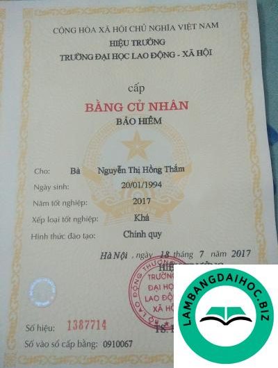 Bằng đại học công tác xã hội là gì? Giải mã tấm bằng của những người làm nghề nhân ái