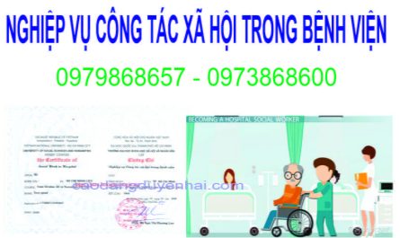 bằng đại học công tác xã hội làm bệnh viện được không