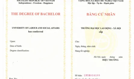 bằng đại học công tác xã hội làm cơ quan nhà nước được không