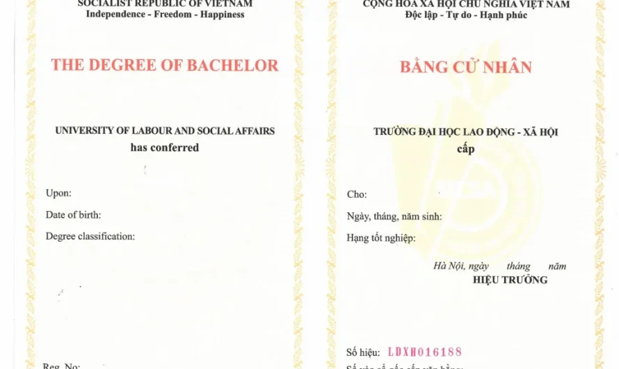 Bằng đại học công tác xã hội làm cơ quan nhà nước được không? Giải đáp chi tiết từ A đến Z