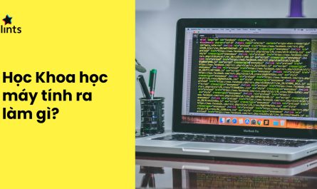 bằng đại học khoa học máy tính ra làm gì