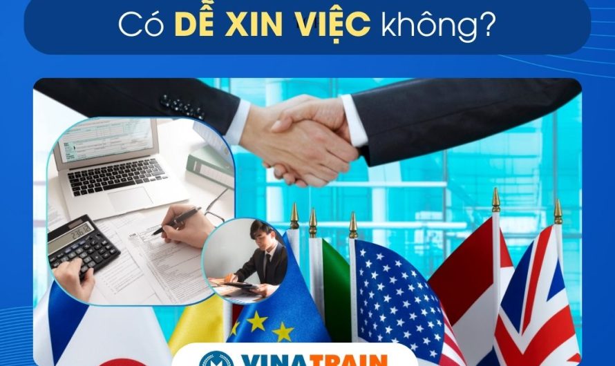 Bằng đại học kinh doanh quốc tế có dễ xin việc không? Phân tích toàn diện từ thực tế thị trường lao động