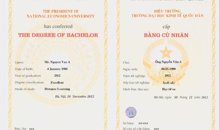 bằng đại học kinh doanh quốc tế là gì