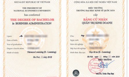 bằng đại học kinh doanh quốc tế làm hải quan được không