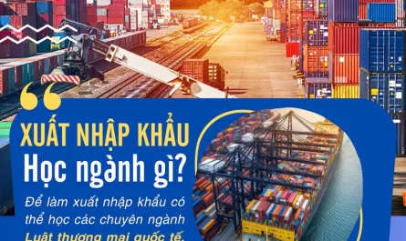 bằng đại học kinh doanh quốc tế làm xuất nhập khẩu được không
