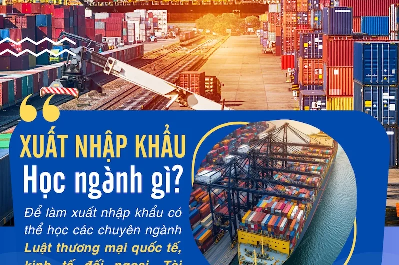 Bằng đại học Kinh doanh Quốc tế làm Xuất nhập khẩu được không? Giải đáp chi tiết từ A-Z