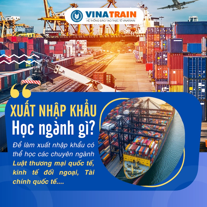 bằng đại học kinh doanh quốc tế làm xuất nhập khẩu được không