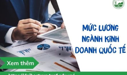 bằng đại học kinh doanh quốc tế lương bao nhiêu