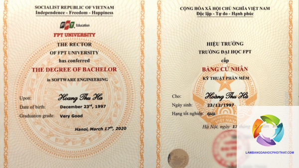 bằng đại học kỹ thuật phần mềm có dễ xin việc không - Hình 4