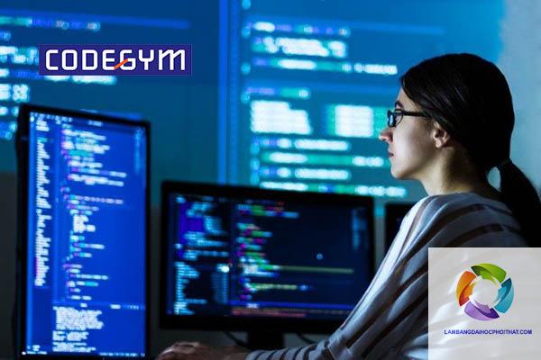 bằng đại học kỹ thuật phần mềm làm lập trình viên được không - Hình 3
