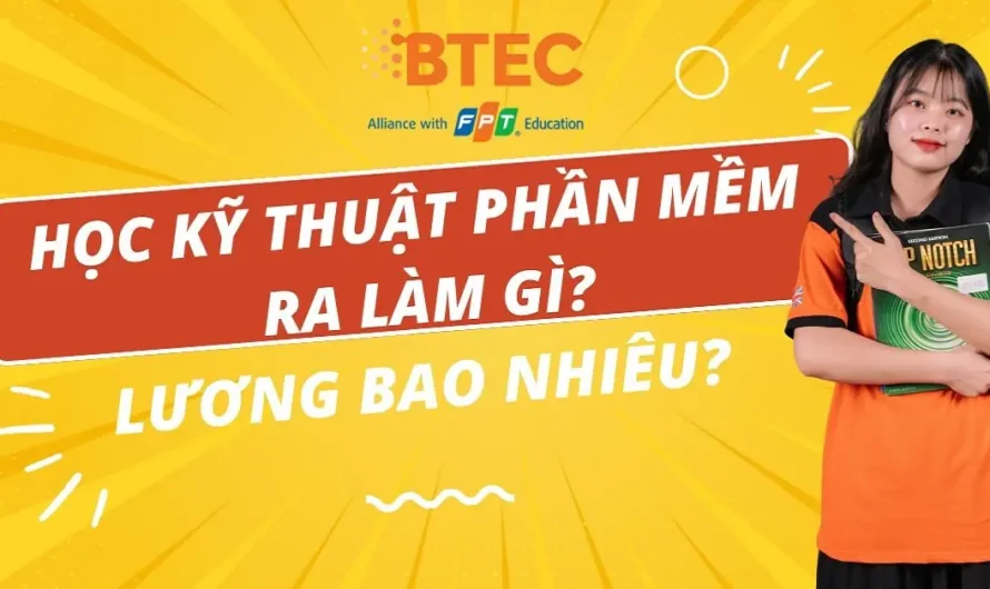 Bằng đại học kỹ thuật phần mềm ra làm gì? Cơ hội việc làm và mức lương chi tiết