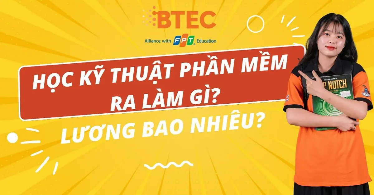 bằng đại học kỹ thuật phần mềm ra làm gì