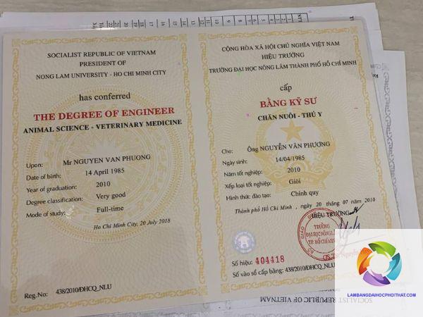bằng đại học loại giỏi có dễ xin việc không - Hình 3