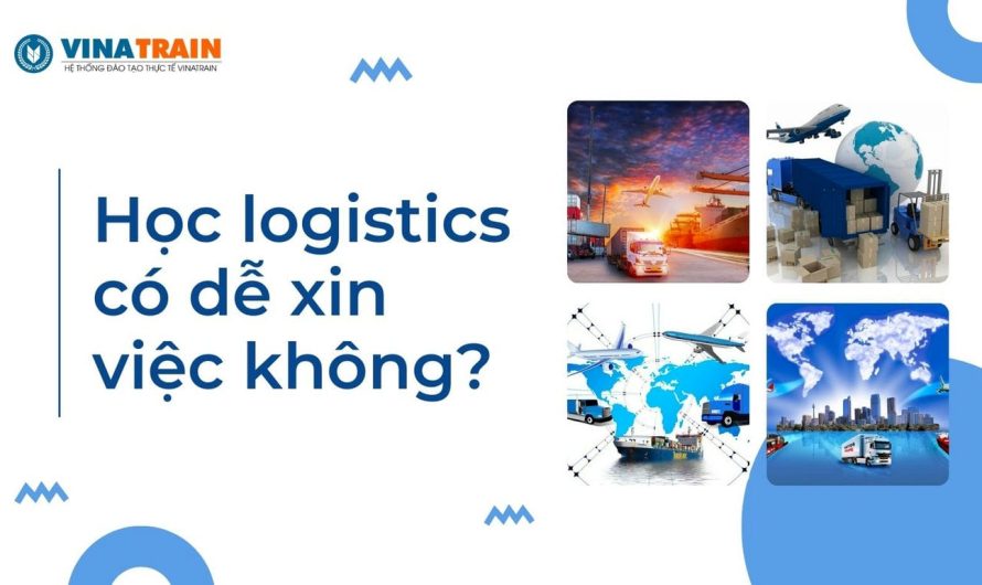 Bằng đại học logistics có dễ xin việc không? Phân tích thực tế thị trường lao động 2025