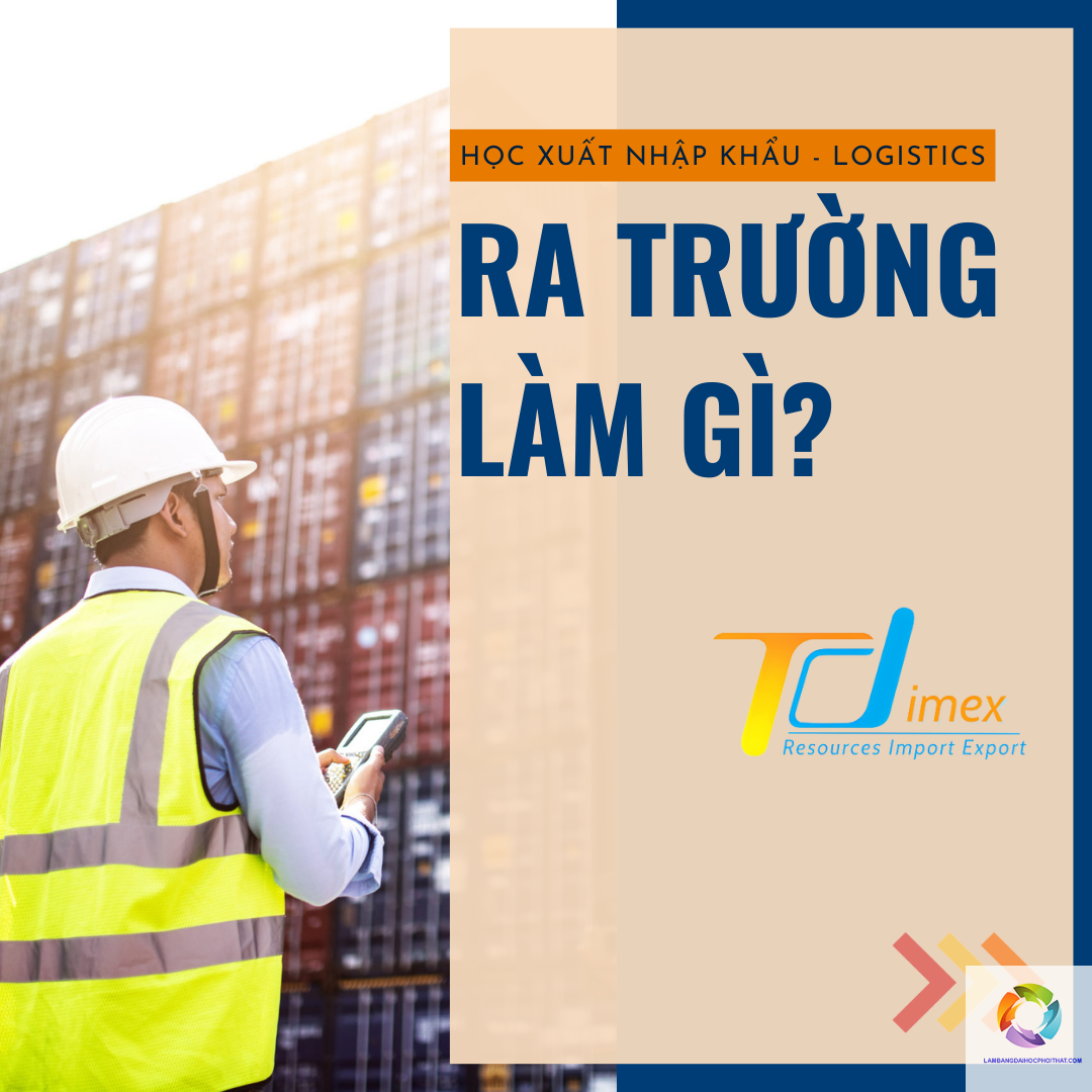 bằng đại học logistics ra làm gì - Hình 4