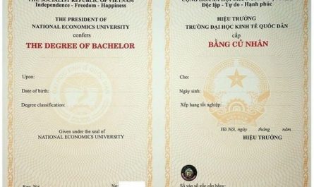 bằng đại học luật kinh tế làm doanh nghiệp được không