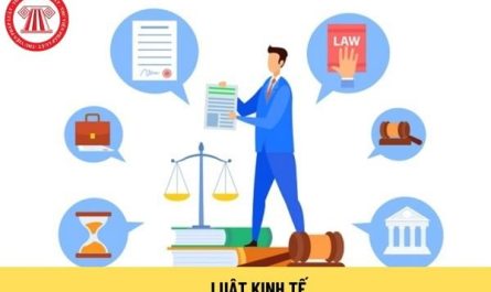bằng đại học luật kinh tế làm tòa án được không