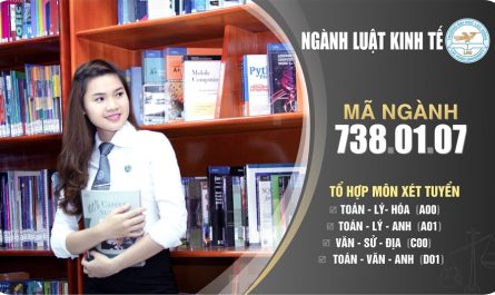 bằng đại học luật kinh tế ra làm gì